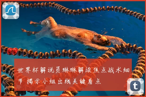 世界杯解说员琳琳解读焦点战术细节 揭示小组出线关键看点